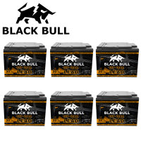 Blackbull 72V 58AH Akku Zyklenfest (6 Stk.)