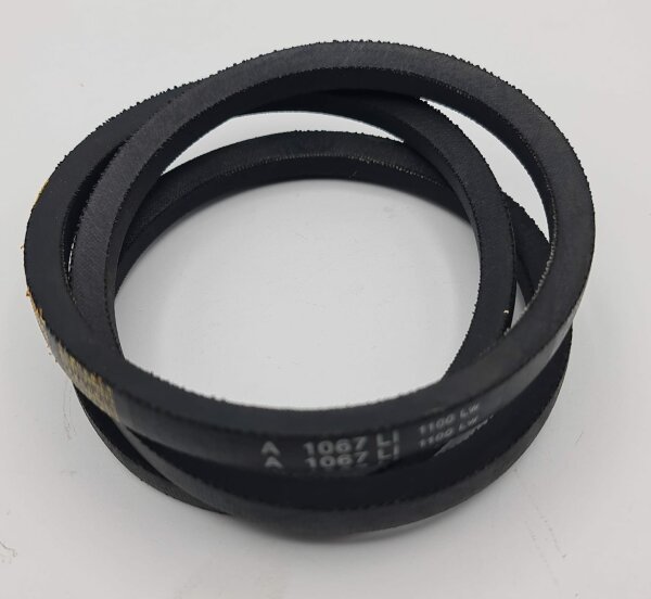 Keilriemen 81010013F