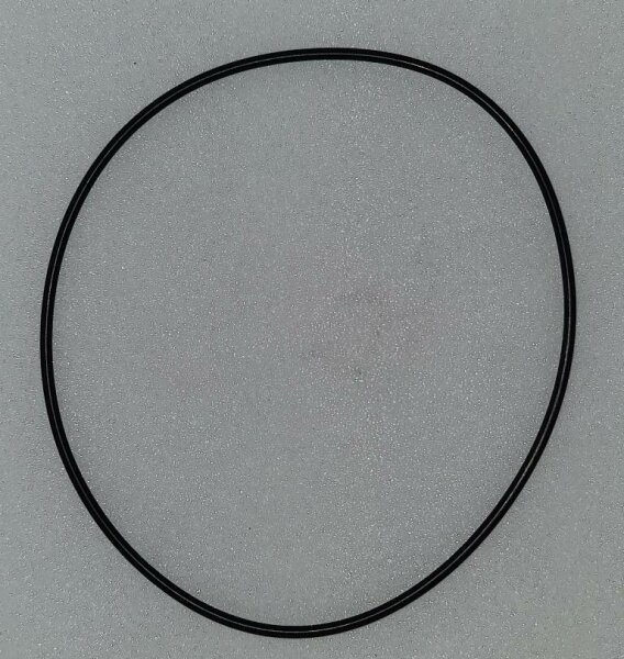 O-Ring 313100023