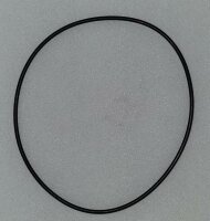 O-Ring 313100023