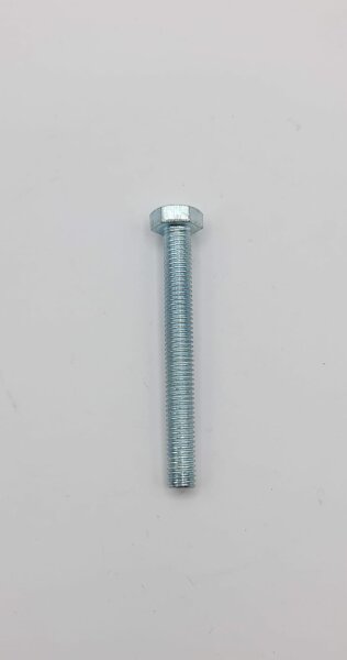 Schraube 100205067