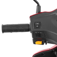 HECHT VISTA TRIKE 1000Watt, 25km/h, EEC