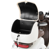 HECHT HECHT ELEGANTE 1000Watt, 25km/h, EEC