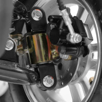 HECHT HECHT ELEGANTE 1000Watt, 25km/h, EEC