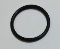 O-Ring 313100017