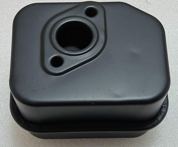 Schalldämpfer (seitlicher Auspuff) 746001074