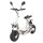 Terris 3KW ElektroScooter 45 km/h EEC