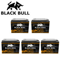 Blackbull 60V 60AH Akku Zyklenfest (5 Stk.)