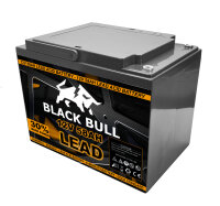 Blackbull 60V 60AH Akku Zyklenfest (5 Stk.)